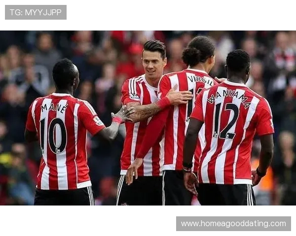 南安普顿足球俱乐部宣布新赛季阵容调整 多名新援加盟助力球队重回英超舞台