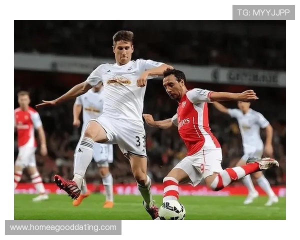 米德尔斯堡足球俱乐部发展历程与成就分析及未来展望