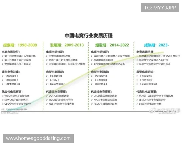 《2025年全球电竞产业发展趋势解析 电竞赛事与电竞文化的崛起》