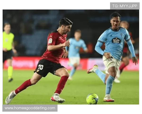 阿拉维斯俱乐部：西甲中的黑马崛起与挑战未来发展之路